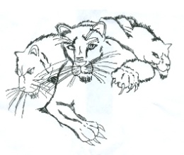 School Mascot-Panthers School Mascot-Panthers